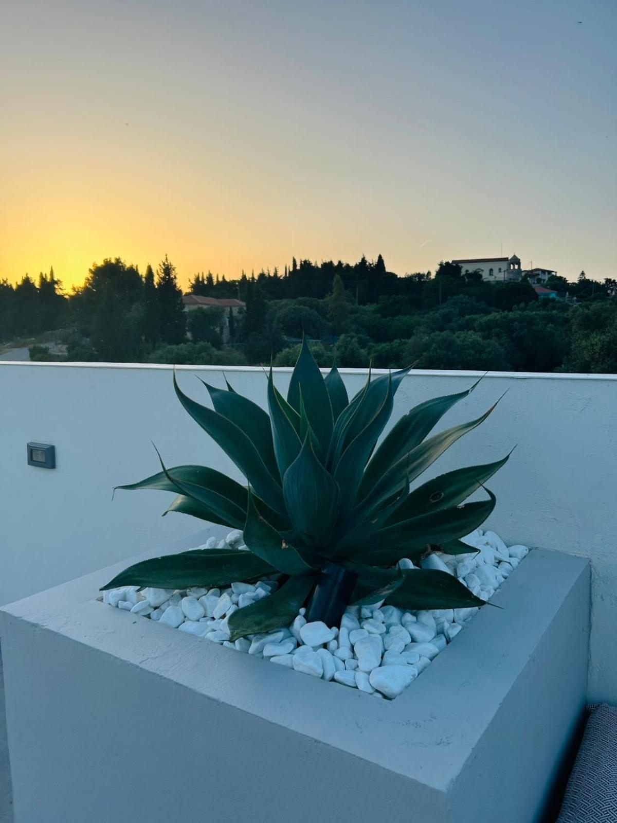 Luz Blanca Villa Agios Leon Exterior photo